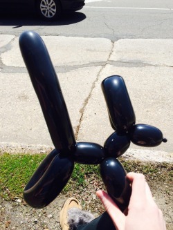 nsfwjynx:  A man carrying a boom box while riding a bicycle that had a side car filled with ice cream pulled up to me while I was waiting at the bus stop and made me a balloon animal What the fuck just happened 
