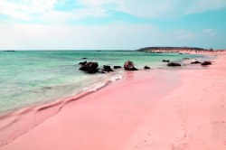 passivites:Eroded particles from red corals has given this beaches sand a pinkish glow.