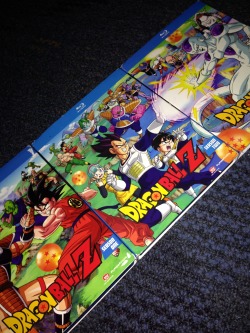 madeupmonkeyshit:  MY DRAGON BALL Z COLLECTION IS NOW COMPLETE, now i can force my kids to watch this every weekday at 6 after school