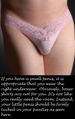 Most appropriate for a sissy husband with