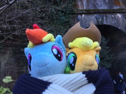 traveling-ponies: Aigi-tunnel 5 (Applejack&amp;Rainbow Dash) Ahhh this is cute &lt;3