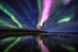 cosmicdustpw: Aurora Borealis over Yellowknife,