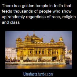 ultrafacts:  itsdeepakblr:  ultrafacts:  Source For more posts like this, CLICK HERE to follow Ultrafacts   This is a sikh temple called the Harmandir sahib or commonly called the golden temple. All sikh temples in India and even a lot around the world