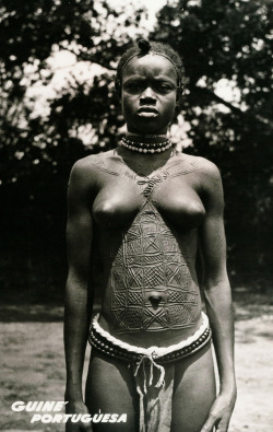 matrixbotanica:  1950s Guinea 
