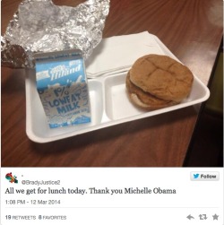 spectralchaos:  viviku:  vandigo:  redsuns-n-orangemoons:  shybairnsget-nowt:  americas-liberty:  Students Fed Up With Michelle Obama’s School Lunch Overhaul — Menu-Item Snapshots Spell Out Why  Wow that is depressing.   okay but is that michelle’s