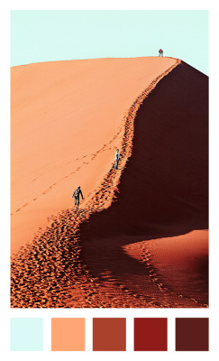 lensblr-network:  { dune 45 }~namib desert,