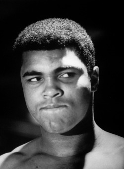 boxingsgreatest:  “I’m a fighter. I believe in the eye-for-an-eye business. I’m no cheek turner. I got no respect for a man who won’t hit back. You kill my dog, you better hide your cat.”  ― Muhammad Ali
