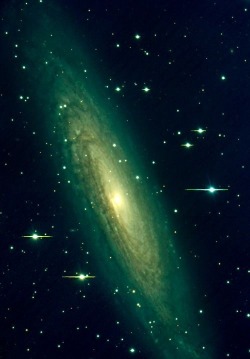 thedemon-hauntedworld:  Spiral galaxy NGC