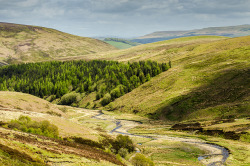 countrywisher:  Forest of Bowland (in Explore) by Zill Niazi on Flickr. 