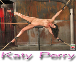Celebrity Porn, From Katy Perry's Horniest Fan