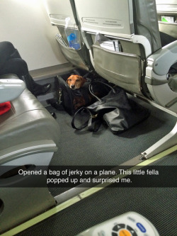 Wait a second. Why is he eating jerky in business/first class?