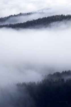 decepticun:   Misty Mountains II | Łukasz Stabrowski     