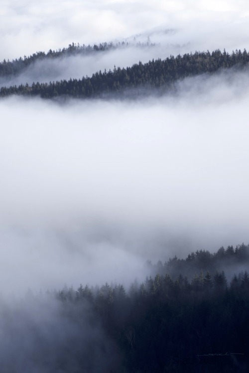 Misty Mountains Porn