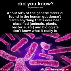 did-you-kno:  About 50% of the genetic material found in the human gut doesn’t match anything that’s ever been classified (animals, plants, bacteria, etc) and biologists don’t know what it really is. Source 