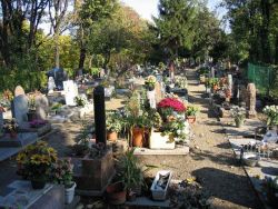 Odditiesoflife:   World’s Oldest Pet Cemetery, Paris  On The Outskirts Of Paris