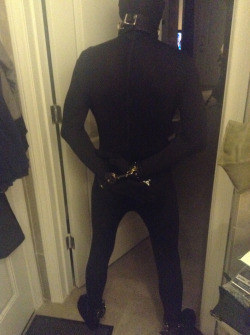 pupdonnie:  Pupdonnie in black morphsuit presented for inspection. 