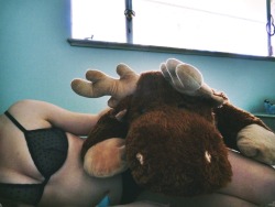 good evening! i love the theme this week. although i don’t have another human being here to cuddle with, i do have my giant stuffie, matilda the moose! she is the best. matilda sleeps every night in my bed and is always there for me. best purchase ever! 