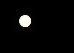 Not my typical post but I just got my solar filter and had to go outside and take a picture of the sun and look, sun spots.
