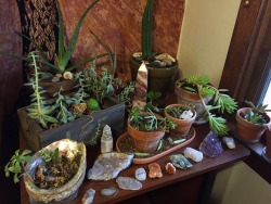 stolenfootprints:  I ran out of room on my windowsills for all of my plants and crystals so I got rid of a chair and replaced it with this table to put some of them on and I am so in love! 