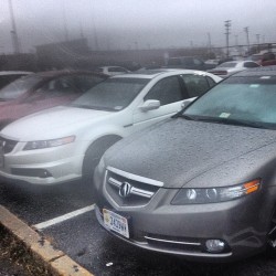 Standing Out In The Crowd!  #Acuracrew #Acuragang #Teamacura #Tl #Types #Acuratypes