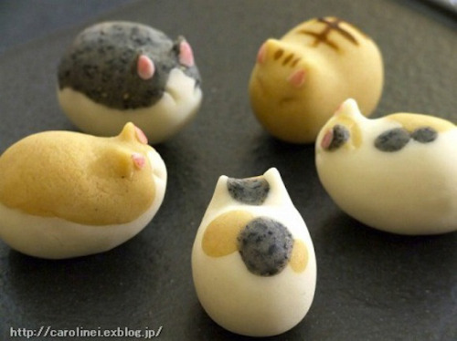 zorobro:  ryuuenx:  issuna:  archiemcphee:  Kawaii! These little kitties aren’t just unbelievably cute, they’re also edible. They’re made by a Japanese mom named Caroline for Neko no Hi or Cat Day, which takes place each year on February 22nd. Cat-shaped