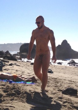 alanh-me:  38k+ follow all things gay, naturist and “eye catching” 