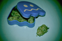 weedorz:  Like &amp; Reblog &amp; SMOKE ONE !Follow if you want more ! http://weedorz.tumblr.comAll weed fan are welcome :)  Pacman hasta en la sopa, okno :P 