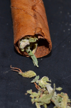 instabaked:  There is just something so fantastic about the sweet and sour combo of a blunt 