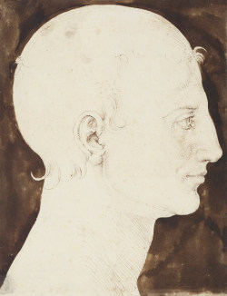 theories-of:  Albrecht Dürer, Constructed Head of a Man in Profile, ca. 1512-13, Pen and brown ink and dark brown wash, 244 x 188 mm 