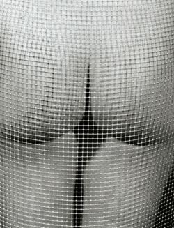Nude and Mesh, Marcel Mariën, 1985