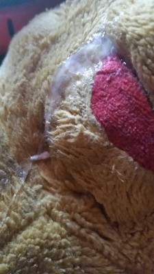 curiouslesbianlover:  Look at the mess I’ve just made humping my teddy bear 😉🐻