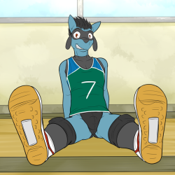 Volleyball Pokedude Pinup: Riolu