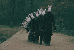 atavus:  Alena Beljakova - Bunny Land!,