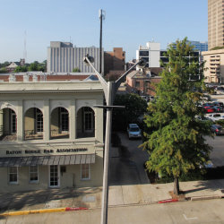 ah-fleh:  Clumsy arrangement of downtown Baton Rouge architecture with crooked two-headed lightpole.  Here too was one of the trees that earned Baton Rouge the appelation “The City of Conifers.”  What accounts for the stains on the sidewalk in front