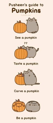 I think i’ll have to look up pusheen pumpkin designs this