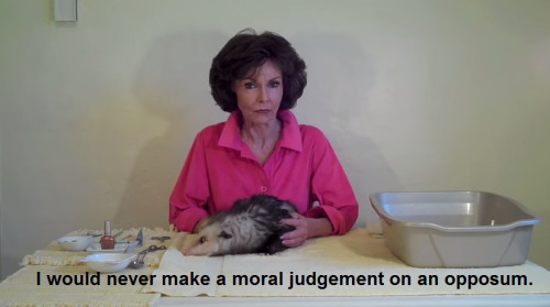 razputinapuato:  look how serious she is when she says that. shes serious. that possum is none of your business 