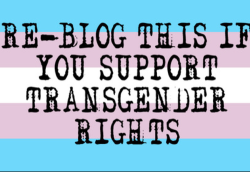 feminization:  Support Transgender Rights! 