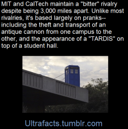 ultrafacts:  The Caltech–MIT rivalry is a college rivalry between the California Institute of Technology (Caltech) and Massachusetts Institute of Technology (MIT), stemming from the colleges’ reputations as top science and engineering schools in the
