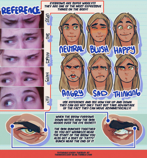 thundercluck-blog: Hey friends! Meg here for today’s TUTOR TUES-WEEK! Today we’re taking a look at eyebrows/eyebrow placement! I’ve covered more about expressions here! If you have any tutorials you’d like to see send ‘em in here or my personal!