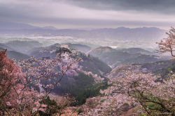 archatlas:    Early Spring In Japan Hidenobu Suzuki