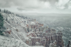 A frosty morning at Bryce Canyon National Park.Indeed it was cold, windy, icy, and foggy.  And my hands hurt from the cold.  But I loved every minute.