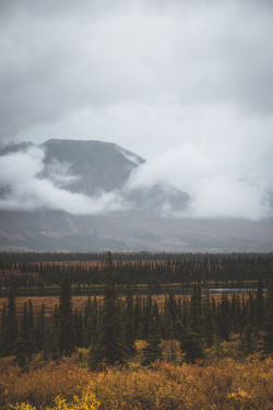 christopher-mongeau:  Autumn in Alaska.