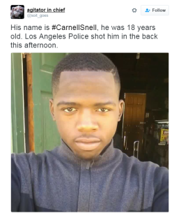blackmattersus:  Another black teen was killed by the police on Saturday. His name was Carnell Snell. He was 18 years old.   Local media reported that the man was fatally shot by police in the backyard of home near 1700 block of 107th Street, where his