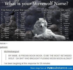 neko-alice-yami-esme:  strive-on-little-fighter:  deanwinchesterflavoredpie:  marchcorvus:  mspbandj:  alliejunestewart:  Moon Moon.  I miss Moon Moon can we bring him back?  Moon Moon and Doge  I ship it  This just made my life.  I’ve been laughing