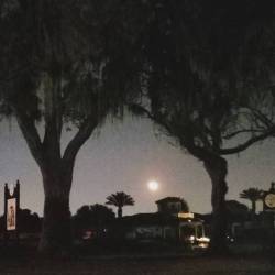 My amazing view of the night sky in Bay Hill (at Arnold Palmer Invitational presented by Mastercard)