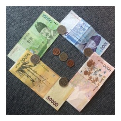 #money #korea #travel