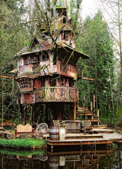 Abandoned childhood (Is it the house of a pirate king who keeps his treasure sunk in the pond beneath? Nope, this plywood palace, built around a broad-leafed maple tree in Redmond, Washington, belongs to Steve Rondel, a regular Dad who built it for his