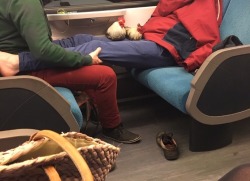 cluckyeschickens:  teamrocketing: this gay couple on the night train had actual chickens with them and i was certain i hallucinated it until i found the pictures just now good 