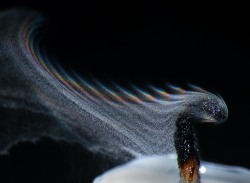 Thesciencellama:  Smoke Droplets With Refraction “Smoke Resolved Into Its Component Droplets