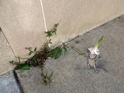 itscolossal:  David Zinn’s Quirky Chalk and Charcoal Characters on the Streets of Ann Arbor